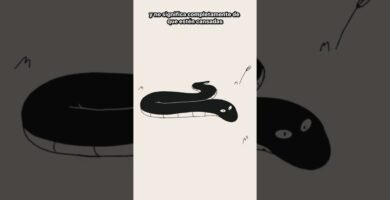 ¿Qué significa cuando mi reptil bosteza? por edad