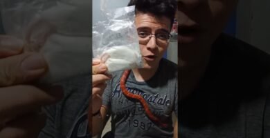 Alimentos prohibidos para reptiles mascota en zonas urbanas