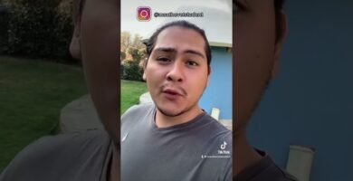 Alimentos prohibidos para reptiles mascota para dueños primerizos