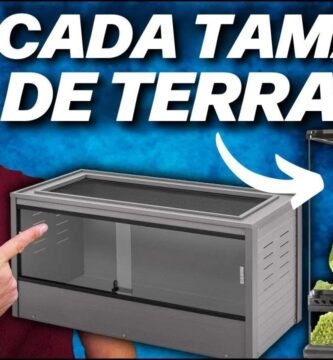 Cómo elegir el tamaño adecuado para la casa de tu reptil con estilo natural
