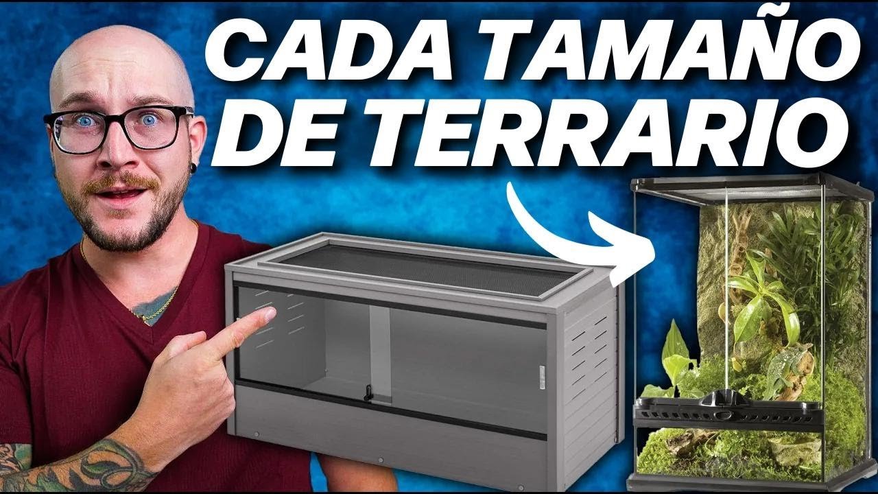 Cómo elegir el tamaño adecuado para la casa de tu reptil con estilo natural