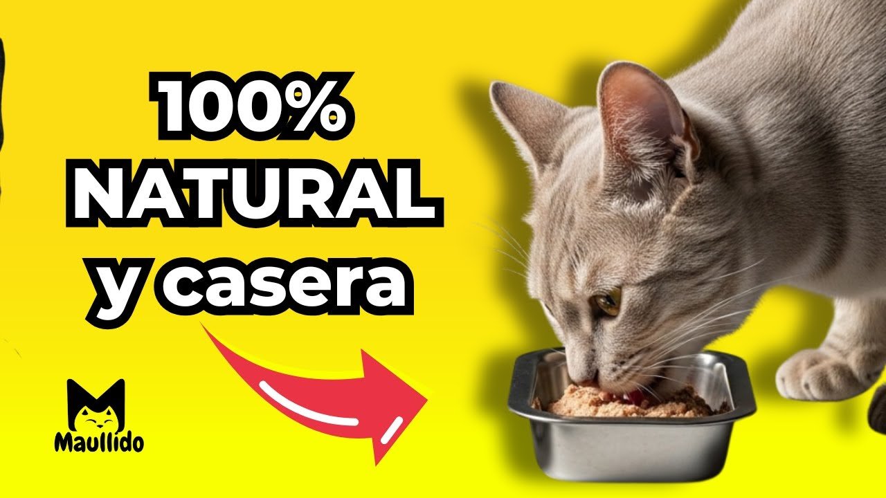 Cómo preparar comida casera para reptiles domésticos con alimentos naturales