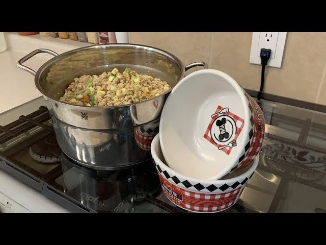 Cómo preparar comida casera para reptiles domésticos con bajo presupuesto