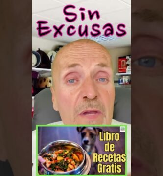 Cómo preparar comida casera para reptiles domésticos en verano