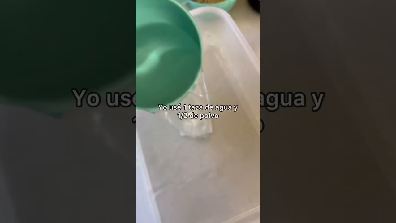 Cómo preparar comida casera para reptiles domésticos según su etapa de vida