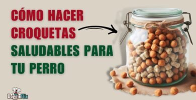 Cómo preparar comida casera para reptiles domésticos sin necesidad de suplementos