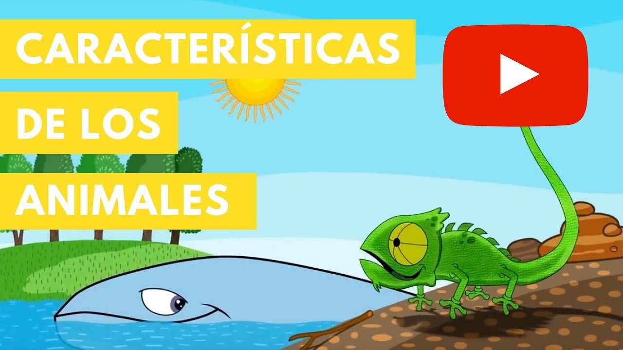 Fertilización en reptiles: conceptos básicos para camaleones