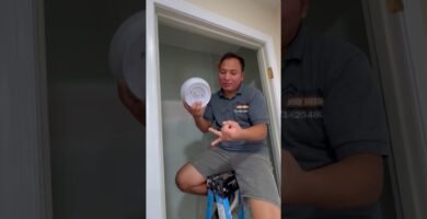 Lámparas ideales para casas de reptiles en interiores con sensores inteligentes