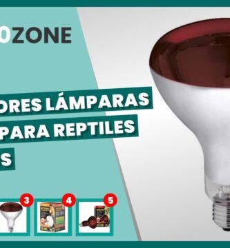 Lámparas ideales para casas de reptiles en interiores según normas de bienestar animal