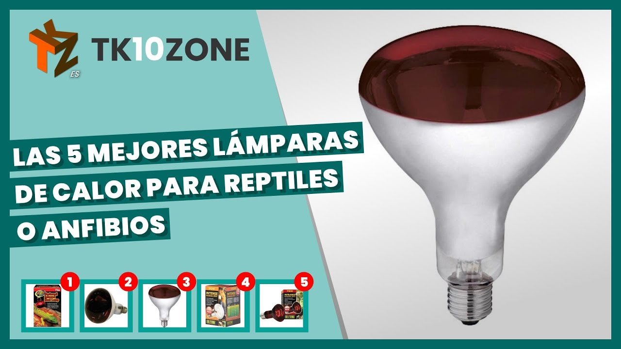 Lámparas ideales para casas de reptiles en interiores según normas de bienestar animal