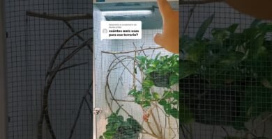 Lámparas ideales para casas de reptiles en interiores sin complicaciones
