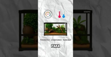 Mi reptil no se mueve: causas posibles explicado por veterinarios