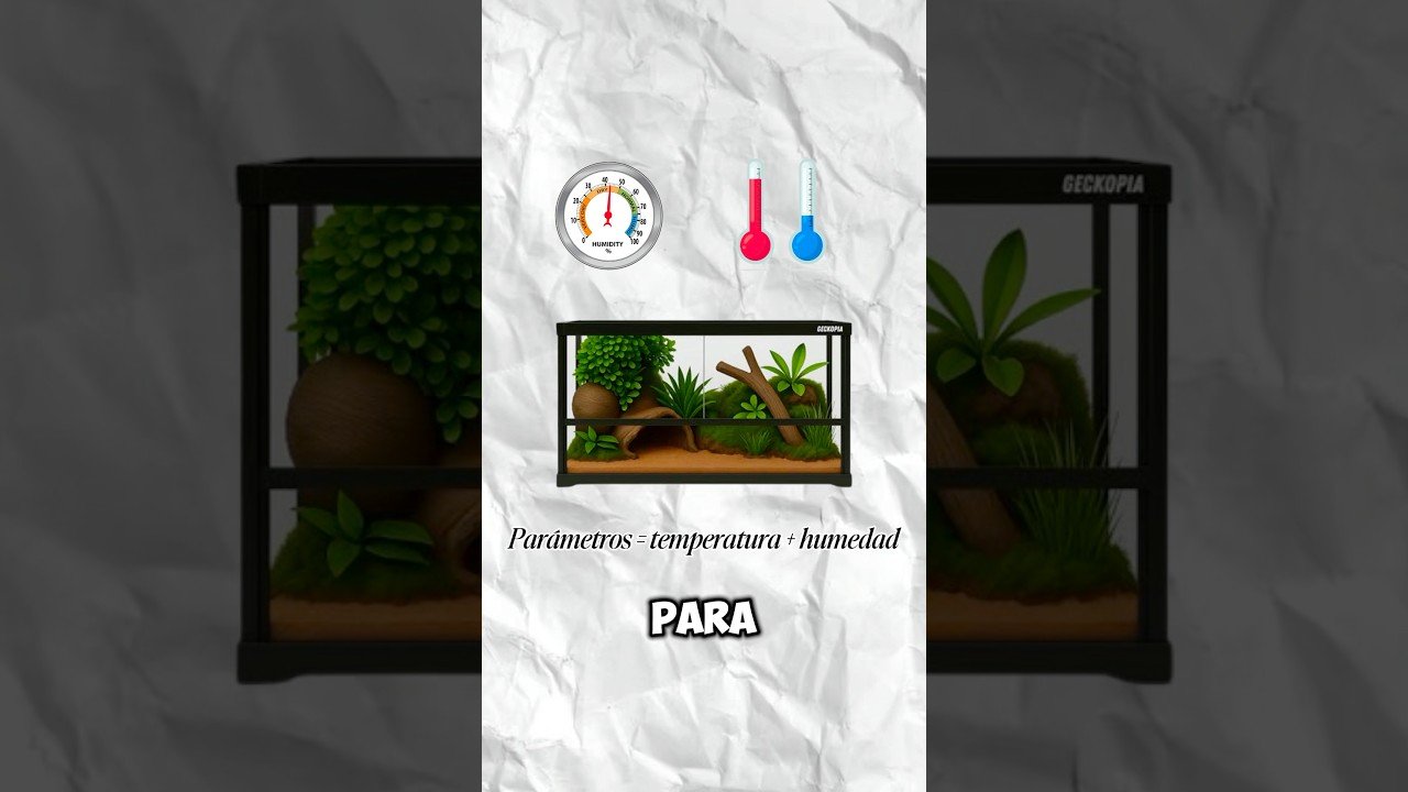 Mi reptil no se mueve: causas posibles explicado por veterinarios