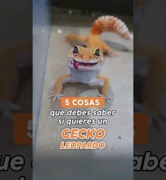 Mi reptil no se mueve: causas posibles según su especie