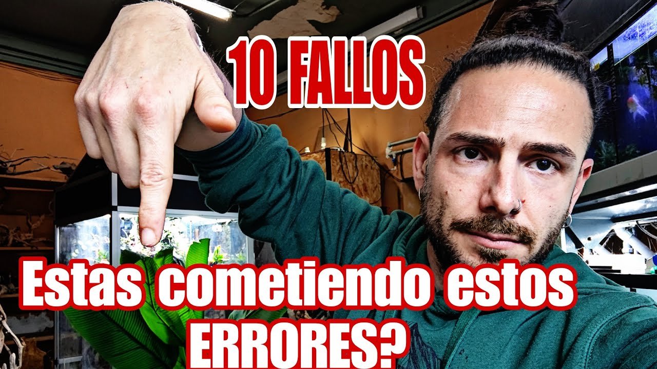 Qué hacer si tu reptil no quiere comer para camaleones