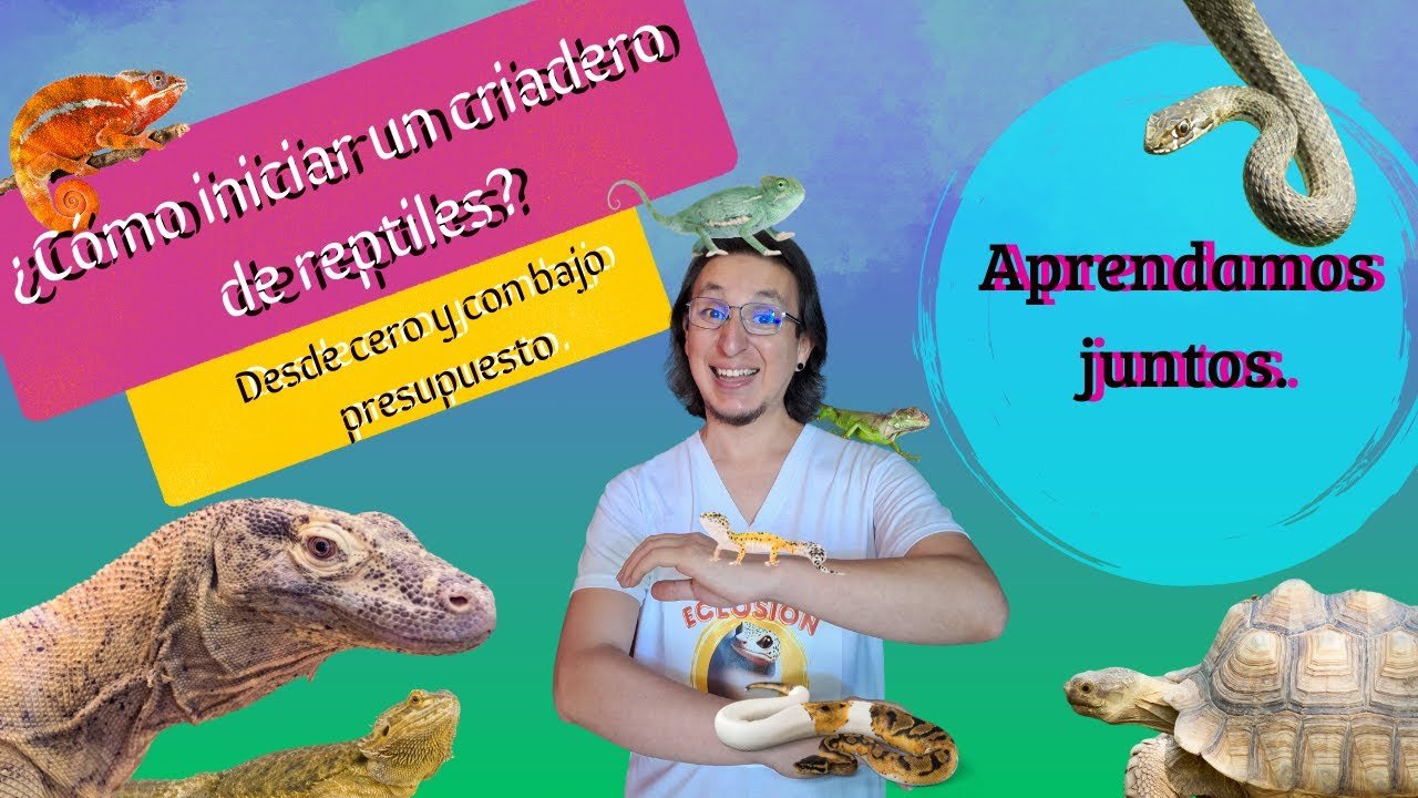Reproducción controlada de reptiles en casa con bajo presupuesto