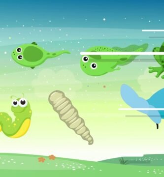 Tiempo de vida de los reptiles domésticos según su especie con productos naturales