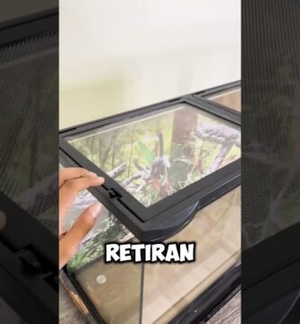 Ventilación ideal en casas para reptiles domésticos adaptadas a reptiles grandes