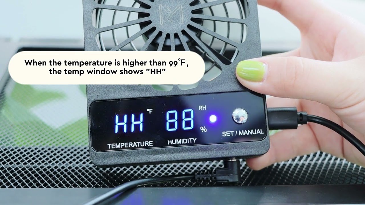 Ventilación ideal en casas para reptiles domésticos con buena ventilación