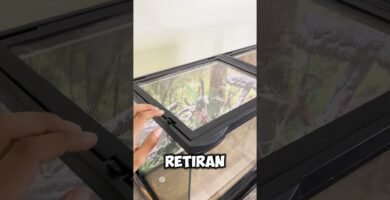 Ventilación ideal en casas para reptiles domésticos en jardines