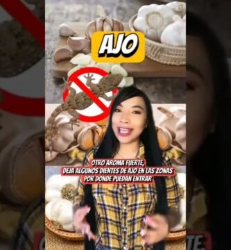 ¿Es normal que los reptiles se queden quietos mucho tiempo? desde casa