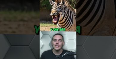 ¿Es normal que los reptiles se queden quietos mucho tiempo? según su especie