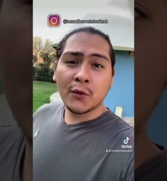 Alimentos prohibidos para reptiles mascota en invierno