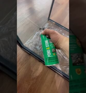 Cómo decorar la casa de un reptil sin riesgos adaptadas a reptiles grandes