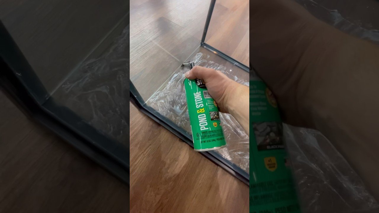 Cómo decorar la casa de un reptil sin riesgos adaptadas a reptiles grandes