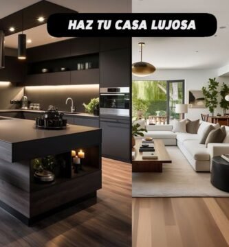 Cómo decorar la casa de un reptil sin riesgos para departamentos