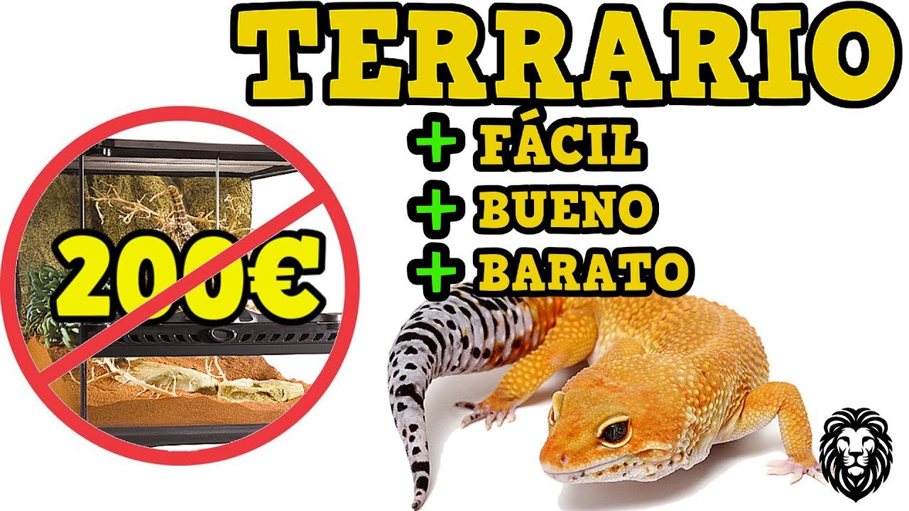 Decoraciones seguras para el hogar de tu reptil con bajo presupuesto