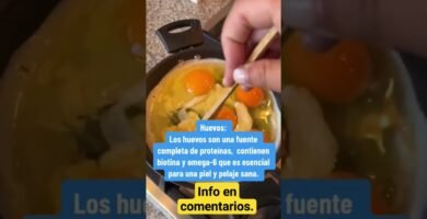 Frecuencia ideal de alimentación en reptiles domésticos con alimentos naturales