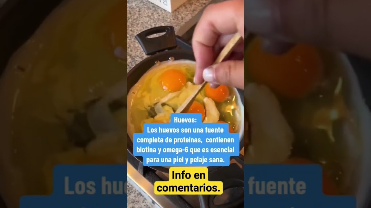 Frecuencia ideal de alimentación en reptiles domésticos con alimentos naturales