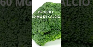 Frecuencia ideal de alimentación en reptiles domésticos con fuentes de calcio naturales