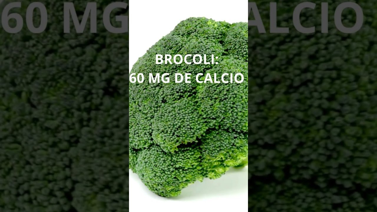Frecuencia ideal de alimentación en reptiles domésticos con fuentes de calcio naturales