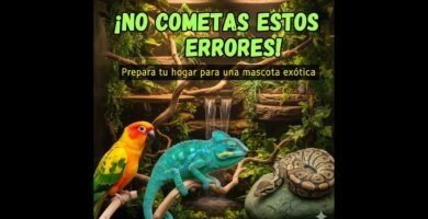 Frecuencia ideal de alimentación en reptiles domésticos para dueños primerizos
