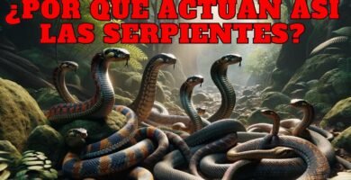 La importancia del comportamiento de caza en reptiles domésticos - consejos de expertos