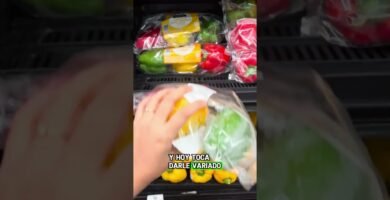 Por qué algunos reptiles trepan constantemente con alimentación especial