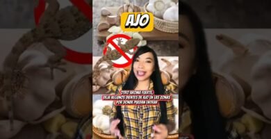 Por qué algunos reptiles trepan constantemente desde casa