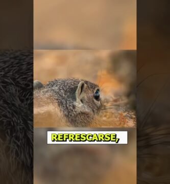 Por qué algunos reptiles trepan constantemente en climas cálidos