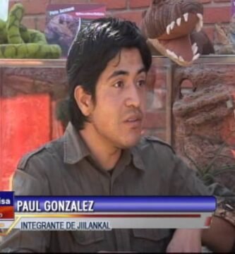 Por qué algunos reptiles trepan constantemente explicado por veterinarios