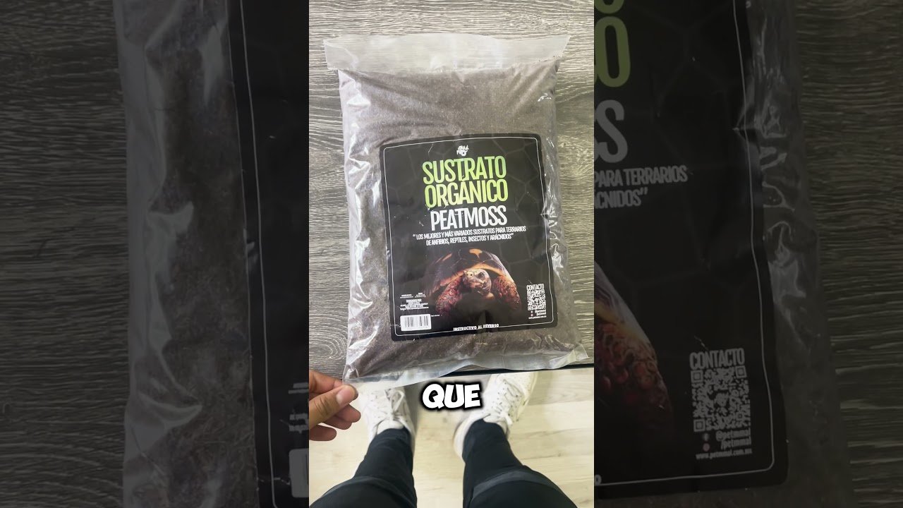 Qué tipo de sustrato es mejor para casas de reptiles sin riesgos de escapes