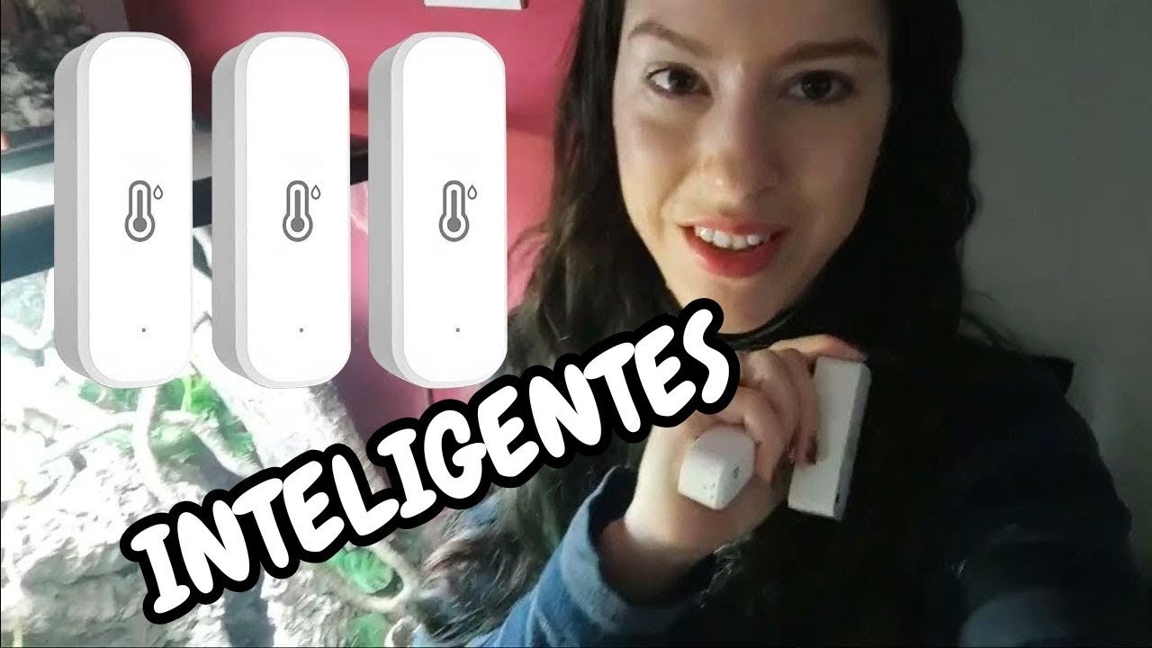 Termómetros recomendados para casas de reptiles domésticos con sensores inteligentes