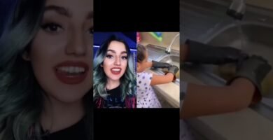 Tiempo de vida de los reptiles domésticos según su especie sin experiencia previa