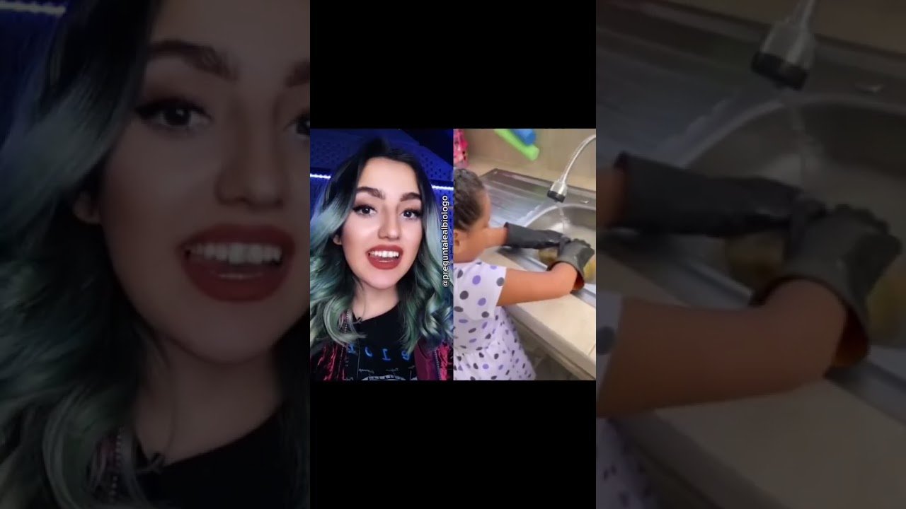 Tiempo de vida de los reptiles domésticos según su especie sin experiencia previa