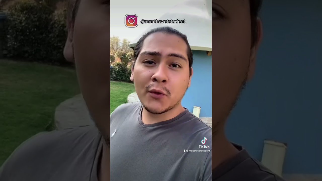 ¿Es normal que los reptiles se queden quietos mucho tiempo? con alimentación especial