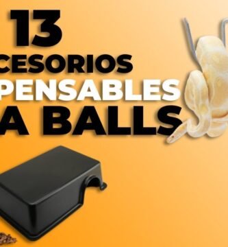 Accesorios que no pueden faltar en casas de reptiles paso a paso