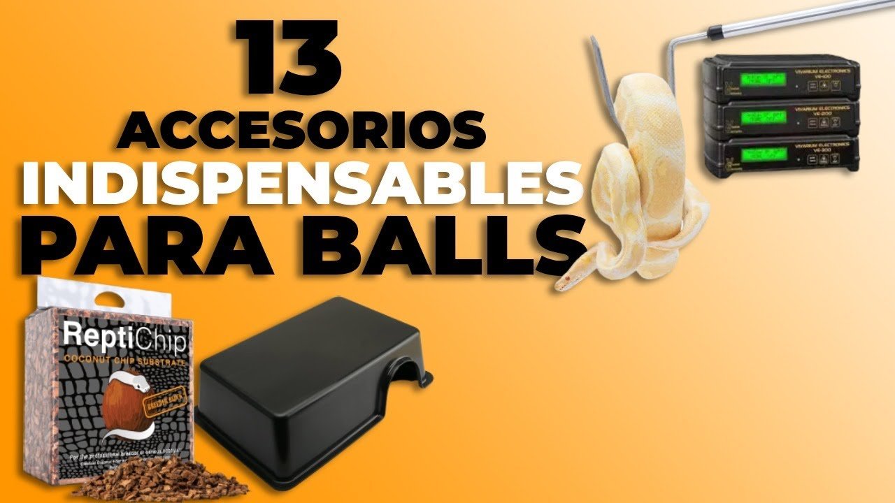 Accesorios que no pueden faltar en casas de reptiles paso a paso