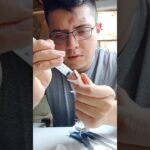 Cómo alimentar a un reptil bebé correctamente durante la hibernación