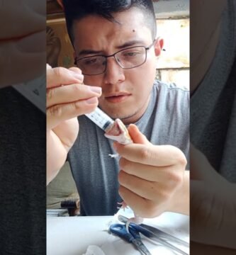 Cómo alimentar a un reptil bebé correctamente durante la hibernación